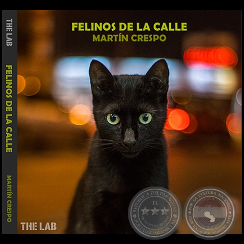 FELINOS DE LA CALLE - Fotografas de MARTN CRESPO - Ao 2019